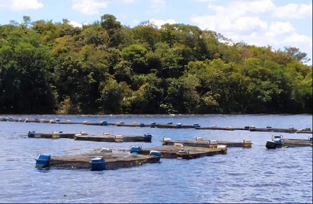 CREA investiga poluiÃ§Ã£o de barragem de Piracuruca apÃ³s denÃºncia de desembargador