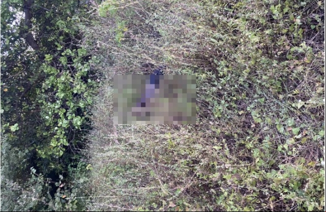 Homem Ã© encontrado morto em NazÃ¡ria